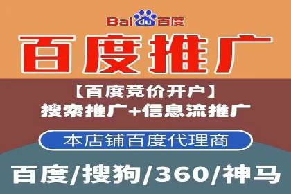 百度竞价广告投放全解析：成功案例揭秘